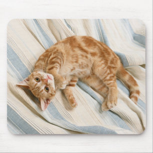 American Shorthair 8 Mousepad
