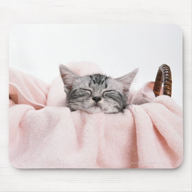 American Shorthair Cat Mousepad (Vorne)