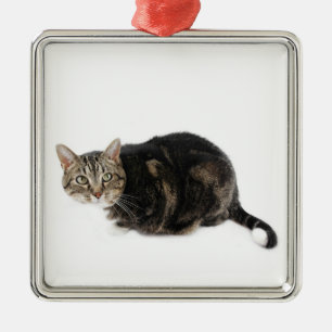 American Shorthair Cat Ornament Aus Metall