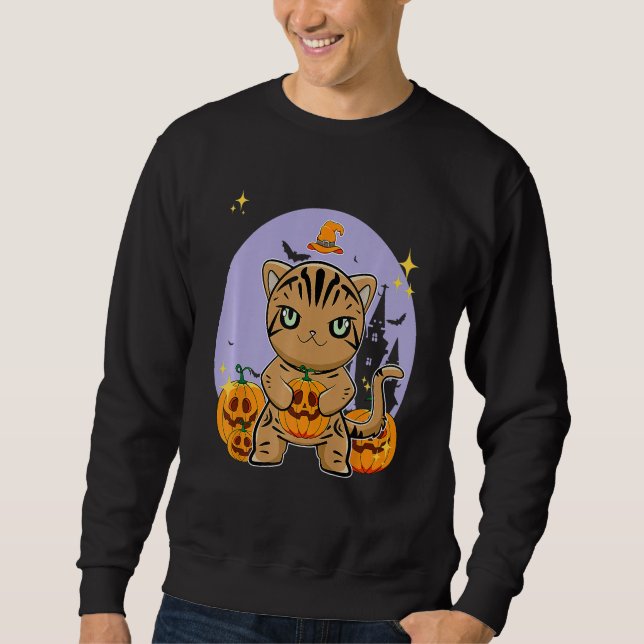 American Shorthair Cat With Pumpkin Halloween Sweatshirt (Vorderseite)