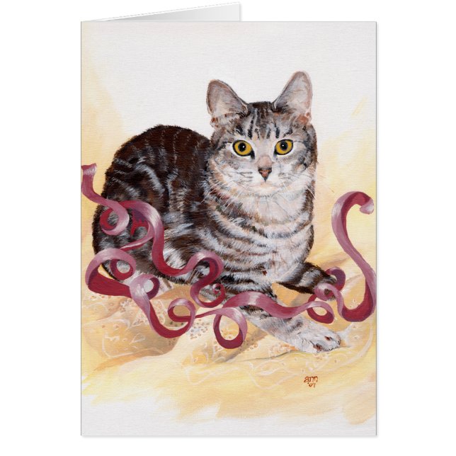 American Shorthair Tabby Cat (Vorne)