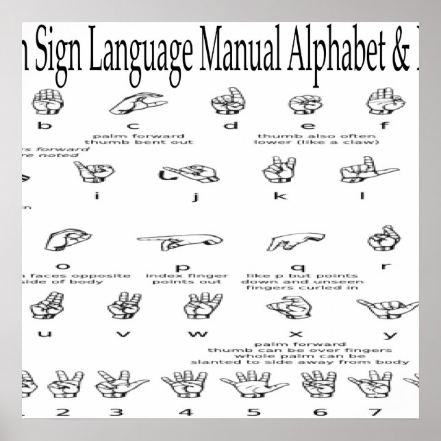 American Sign Language ASL Alphabet & Numbers Char Poster (Vorne)