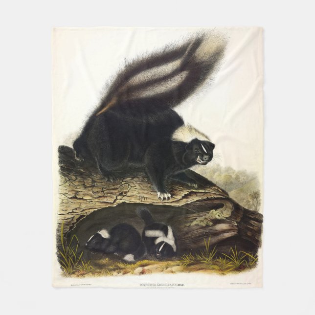 American Skunk oder Striped Skunk von Audubon Fleecedecke (Vorderseite)