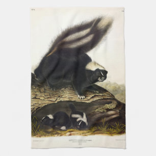 American Skunk oder Striped Skunk von Audubon Geschirrtuch