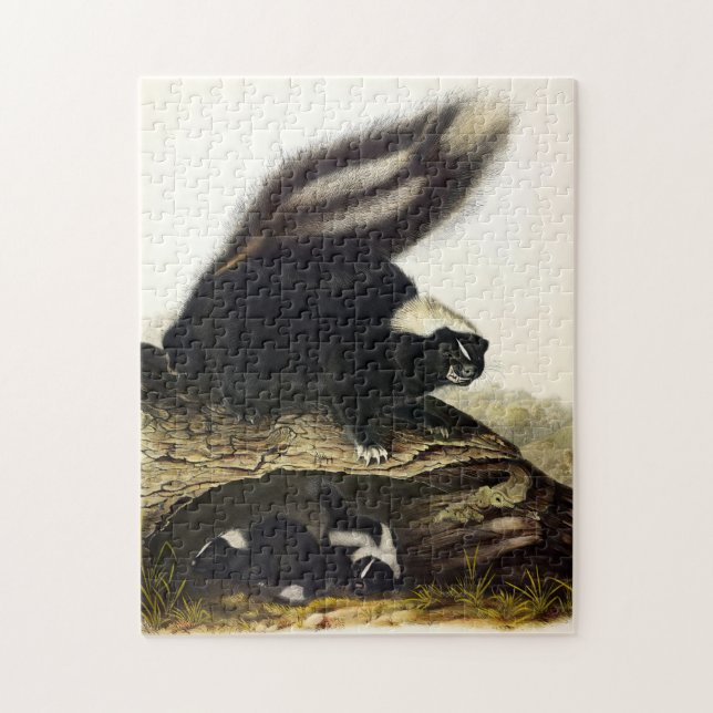 American Skunk oder Striped Skunk von Audubon Puzzle (Vertikal)