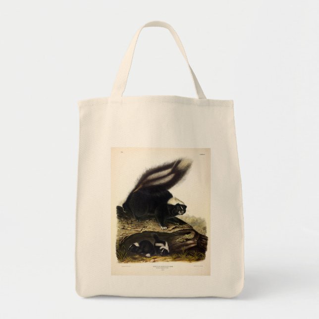 American Skunk oder Striped Skunk von Audubon Tragetasche (Vorne)