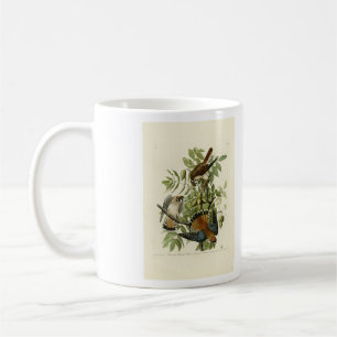 American Sparrow Hawk - Audubons Vögel in Amerika Kaffeetasse