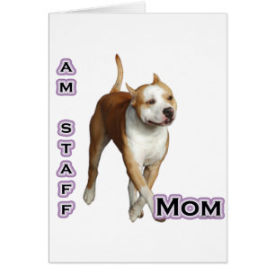 American Staffordshire Mama 4