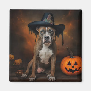 American Staffordshire Pumpkins Halloween Beängsti Magnet