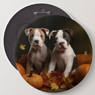 American Staffordshire Puppy Herbst Delight Button