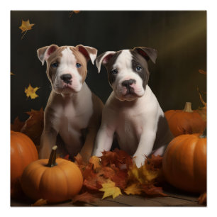 American Staffordshire Puppy Herbst Delight Poster