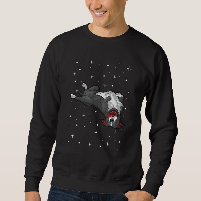 American staffordshire terrier amstaff sweatshirt (Vorderseite)