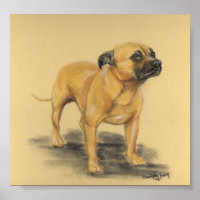 "American Staffordshire Terrier" Dog Art Print
