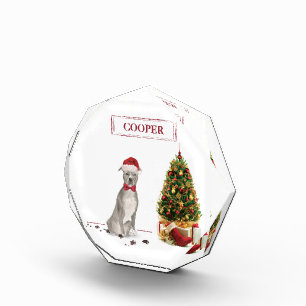 American Staffordshire Terrier Funny Christmas Dog Fotoblock