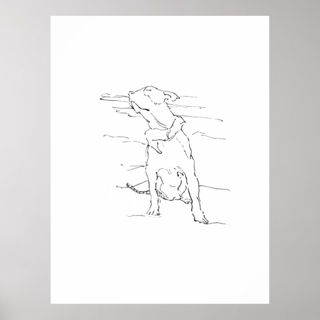 American Staffordshire Terrier Illustration Poster (Vorne)