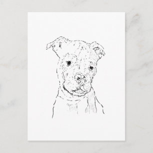 American Staffordshire Terrier Illustration Postkarte