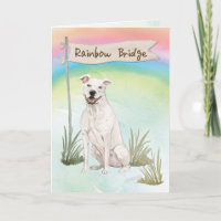 American Staffordshire Terrier Pet Beileid
