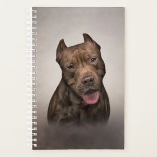 American Staffordshire Terrier Planer