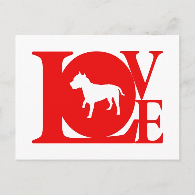 American Staffordshire Terrier Postkarte (Vorderseite)