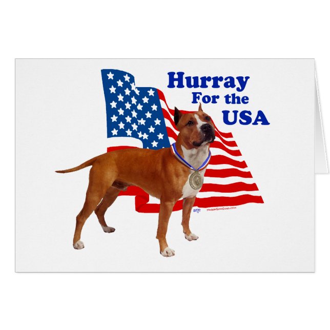 American Staffordshire Terrier USA (Vorderseite (Horizontal))