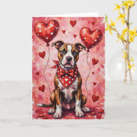 American Staffordshire Terrier Valentinstag Hund