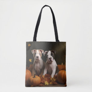 American Staffordshire Welpe Autumn Delight