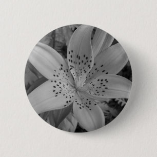 American Tiger Lily Button