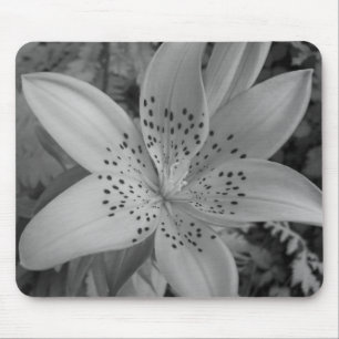 American Tiger Lily Mousepad