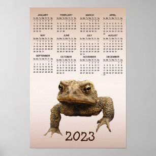 American Toad 2023 Animal Calendar Poster