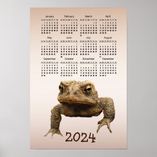 American Toad 2024 Animal Calendar Poster