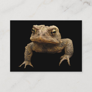 American Toad ATC Visitenkarte
