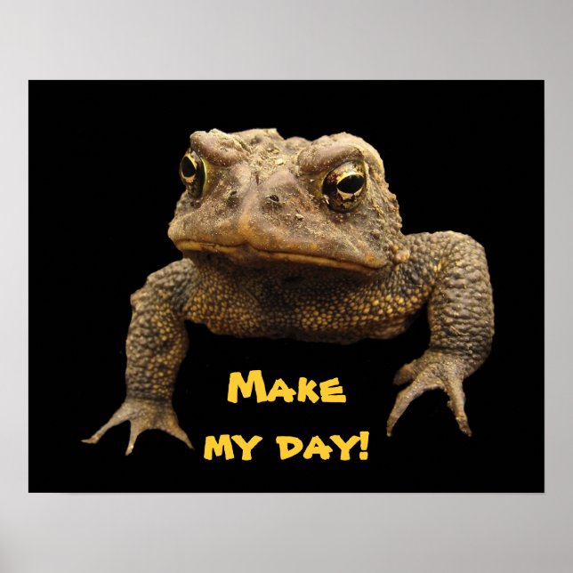 American Toad Poster (Vorne)