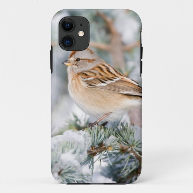 American Tree Sparrow im Winter Case-Mate iPhone Hülle (Rückseite)