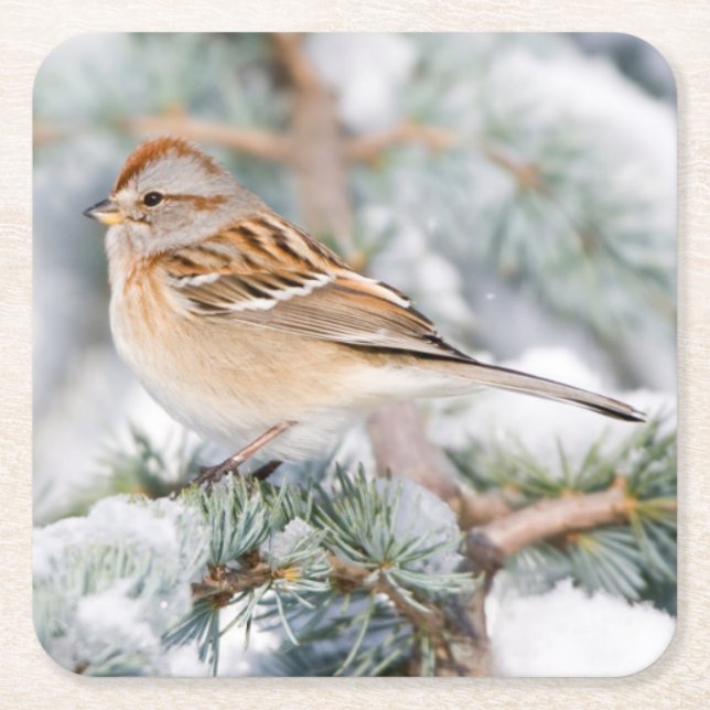 American Tree Sparrow im Winter Rechteckiger Pappuntersetzer (Vorderseite)