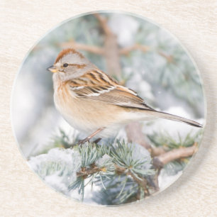 American Tree Sparrow im Winter Sandstein Untersetzer