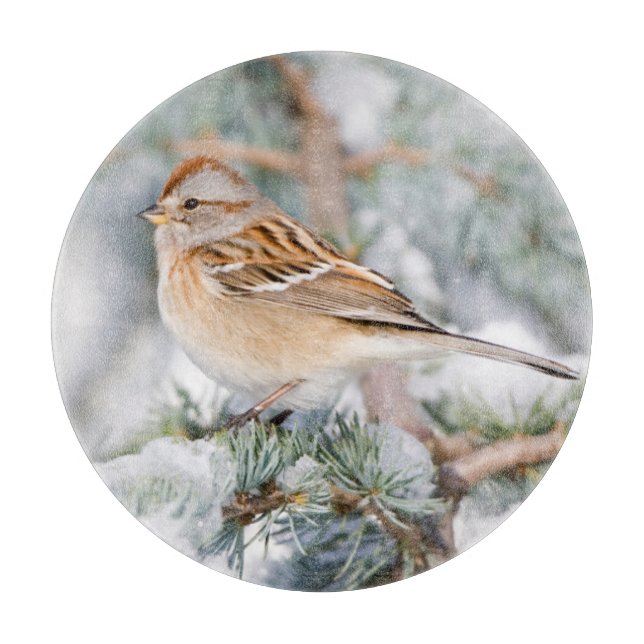 American Tree Sparrow im Winter Schneidebrett (Vorderseite)