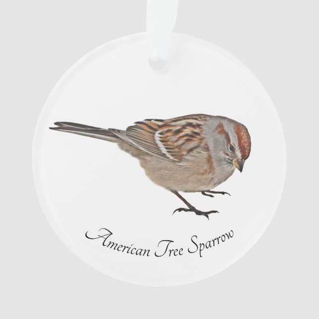 American Tree Sparrow Ornament (Vorderseite)