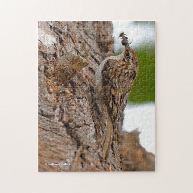 American Treecreeper mit Bug Puzzle (Vertikal)