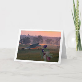 American Unity Card Karte