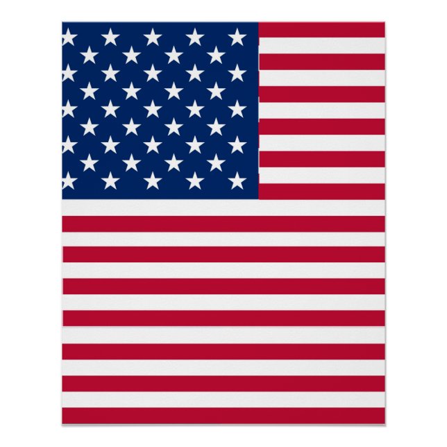 American USA Flag Pride Design-76353 Poster (Vorderseite)