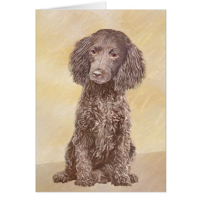 American Water Spanel Malerei - Original Dog Art (Vorne)