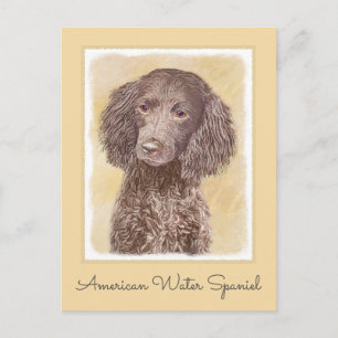 American Water Spanel Malerei - Original Dog Art Postkarte