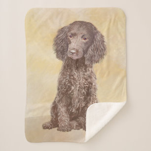 American Water Spanel Malerei - Original Dog Art Sherpadecke