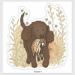 American Water Spaniel Auto-Aufkleber Aufkleber