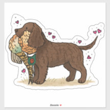 American Water Spaniel Auto-Aufkleber