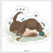 American Water Spaniel Auto-Aufkleber