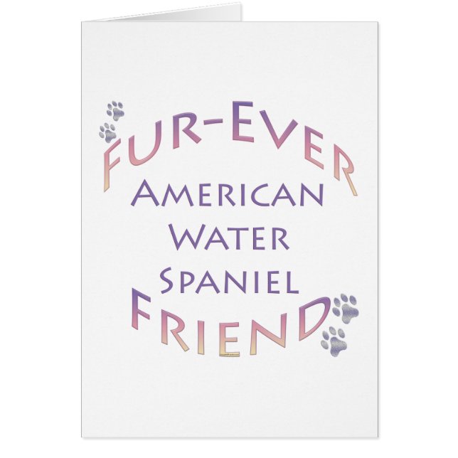 American Water Spaniel Furever (Vorne)