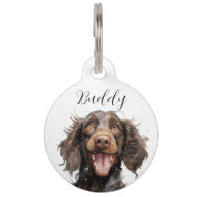 American Water Spaniel Name ID-Tag