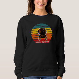 American Water Spaniel Retro Vintage farbenfrohe S Sweatshirt