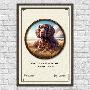 American Water Spaniel Zoologie-Serie Poster